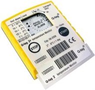 Кью-тэг Квад 2P плюс Кью-тэг Квад 2P плюс